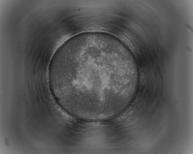 X0000092330990200710121530