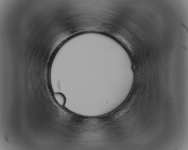 X0000092330991200710121530