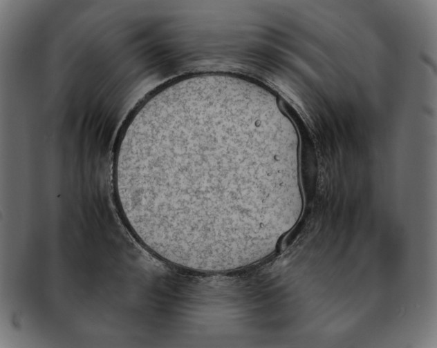 X0000092330992200710121530