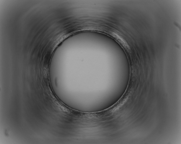 X0000092330993200710121530
