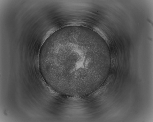 X0000092330994200710121530