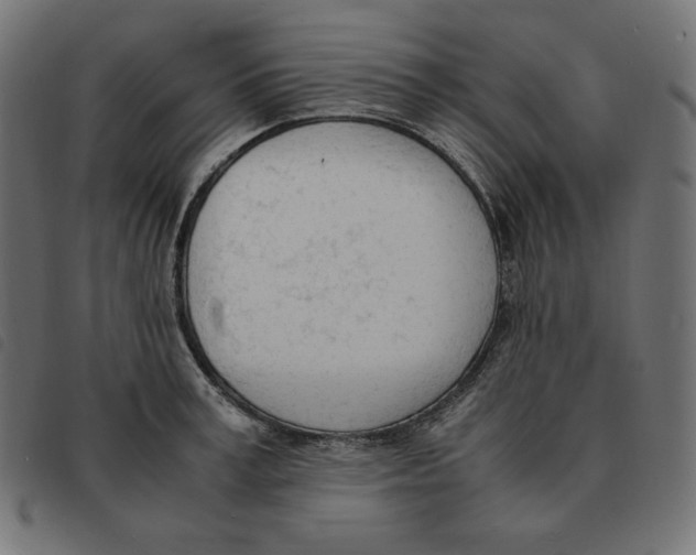 X0000092330995200710121530