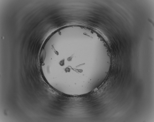 X0000092330996200710121530