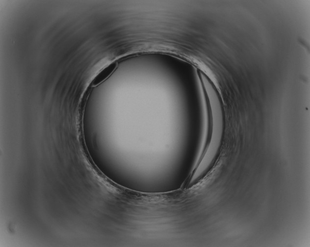 X0000092330997200710121530
