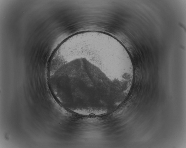 X0000092330998200710121530