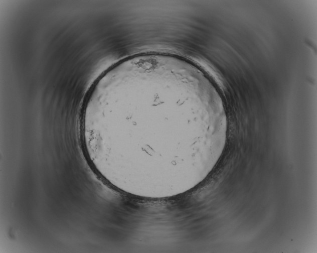 X0000092330999200710121530