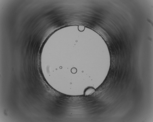 X0000092331000200710121530