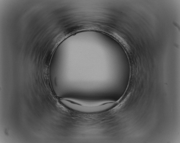 X0000092331001200710121530