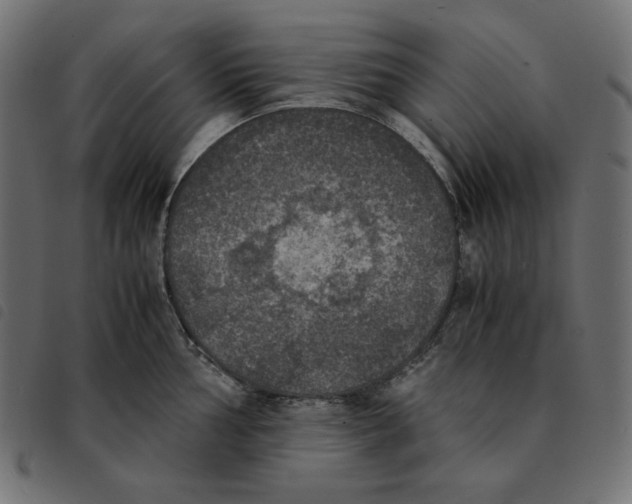 X0000092331002200710121530