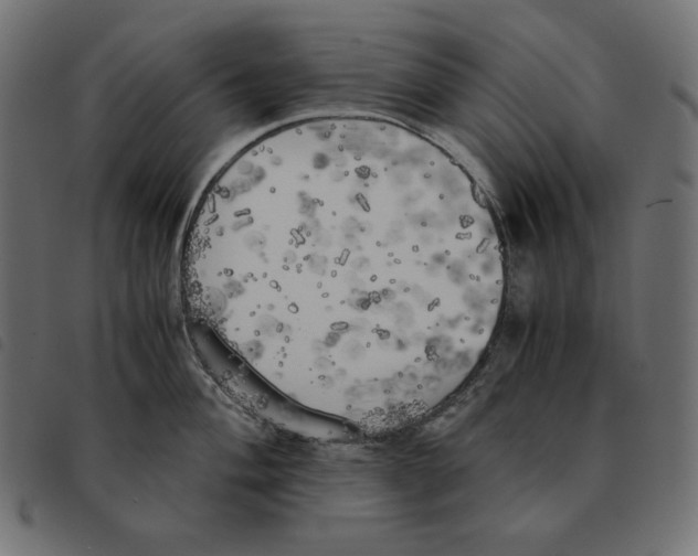 X0000092331004200710121530