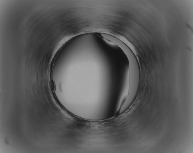 X0000092331005200710121530
