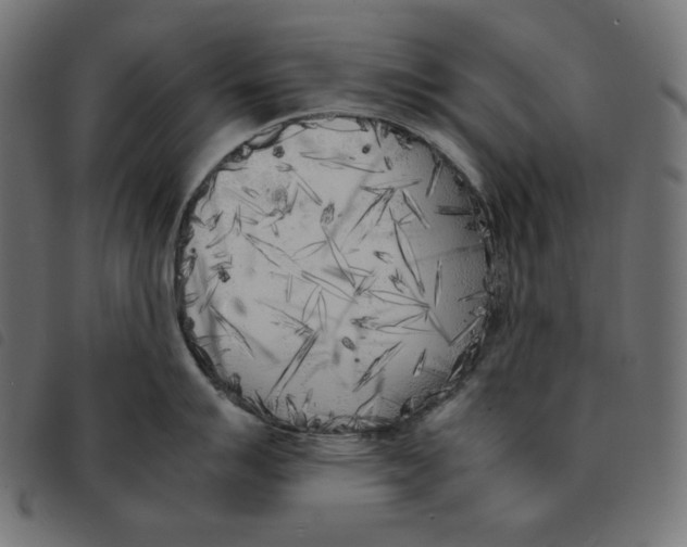 X0000092331007200710121530