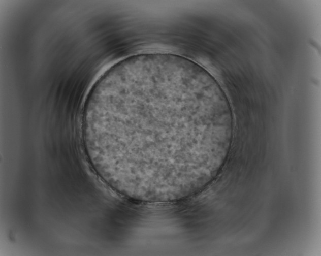 X0000092331008200710121530