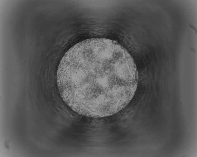 X0000092331009200710121529