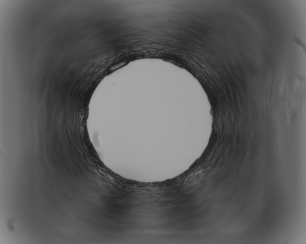 X0000092331010200710121529