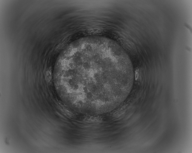 X0000092331011200710121529
