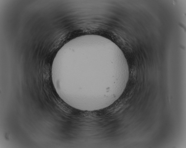 X0000092331012200710121529