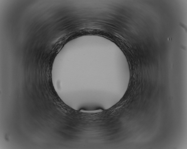 X0000092331014200710121529