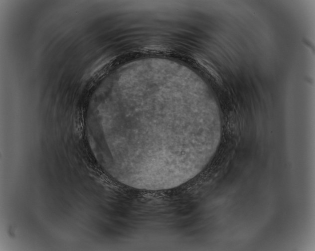 X0000092331015200710121529