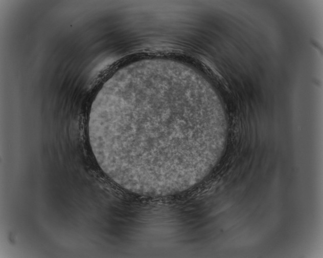 X0000092331016200710121529