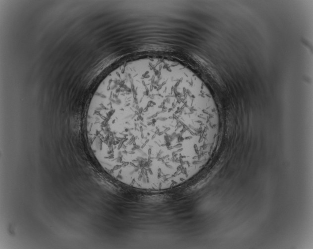 X0000092331017200710121529