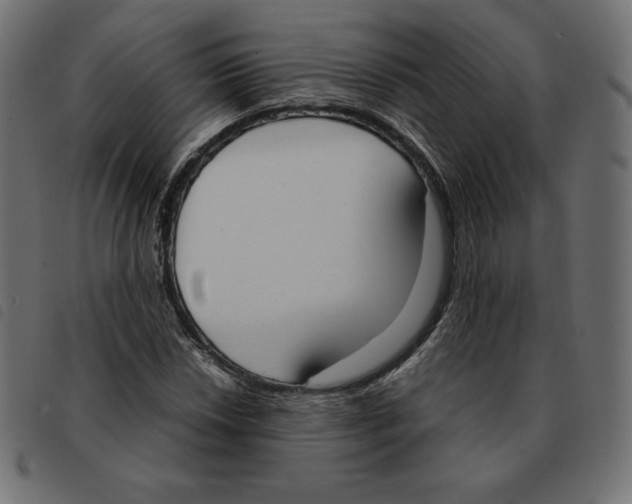 X0000092331018200710121529