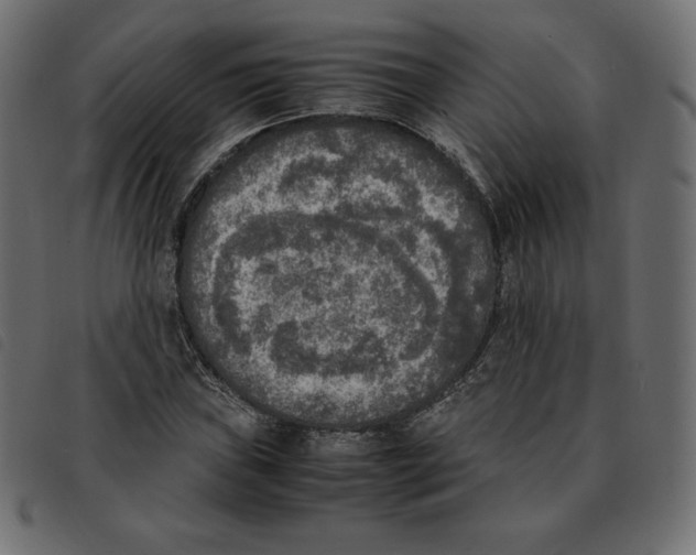 X0000092331019200710121529