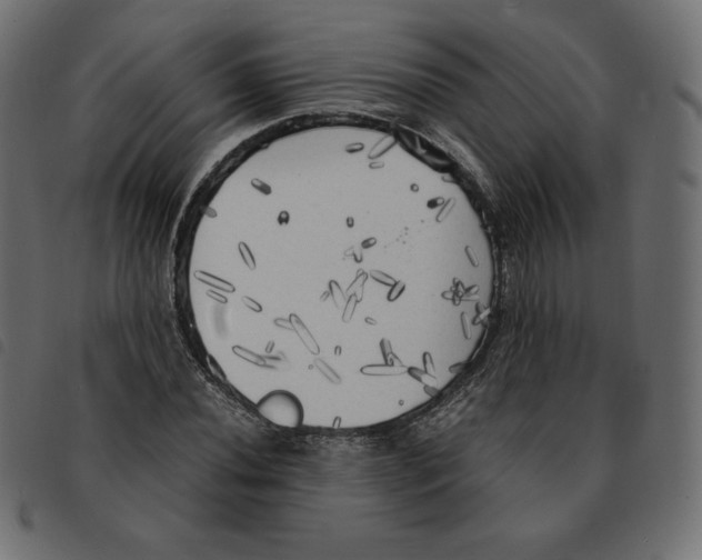 X0000092331020200710121529