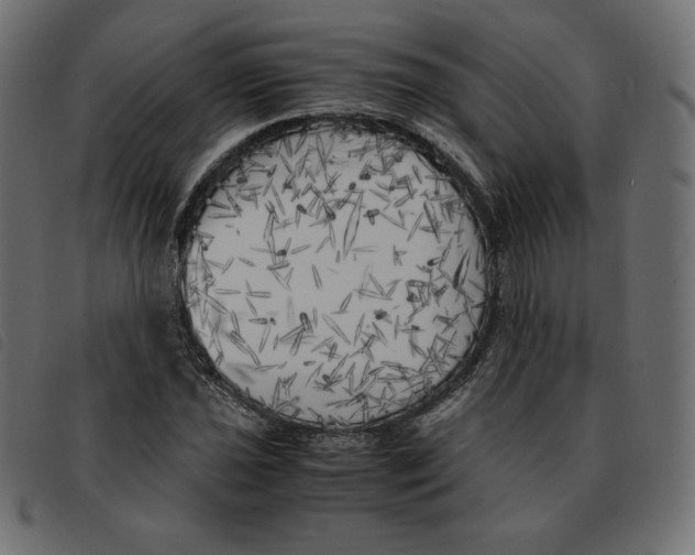 X0000092331021200710121529