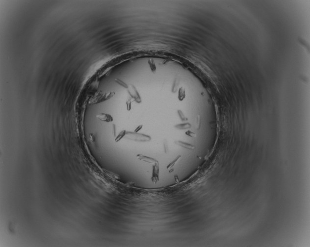 X0000092331022200710121529