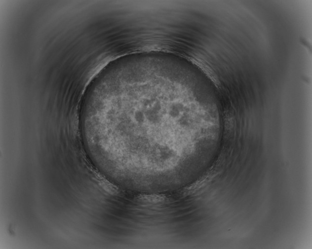 X0000092331023200710121529
