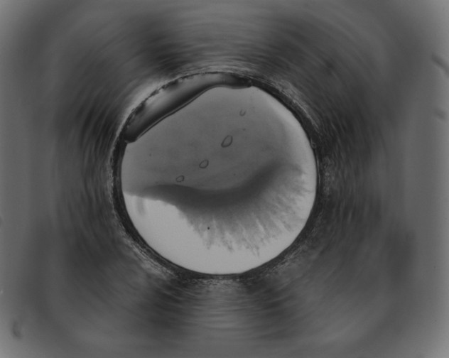 X0000092331024200710121529