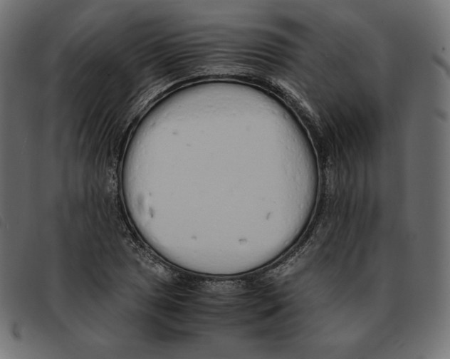 X0000092331025200710121529