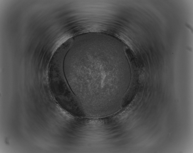 X0000092331026200710121529