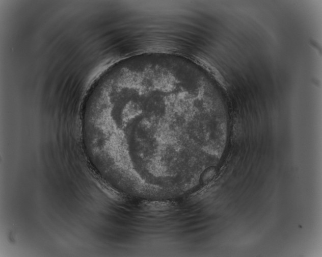 X0000092331027200710121529