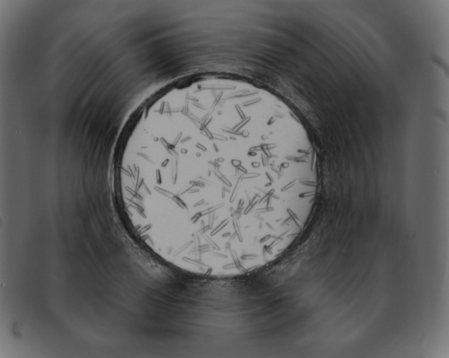 X0000092331028200710121529