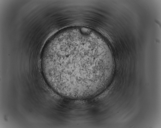 X0000092331029200710121529
