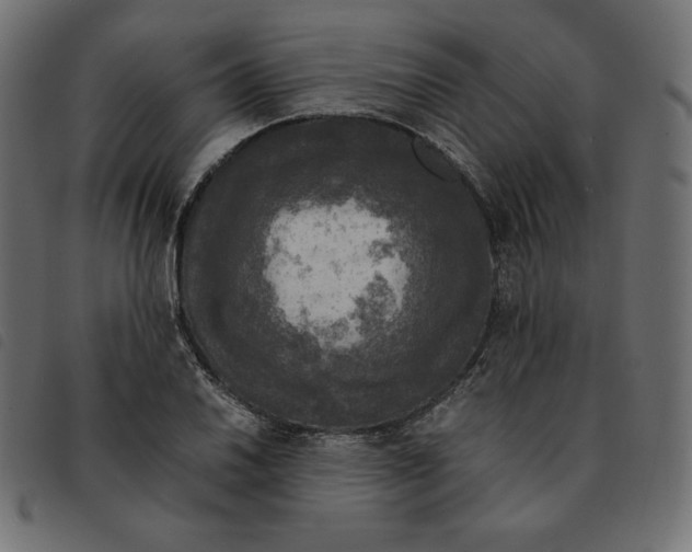 X0000092331030200710121529