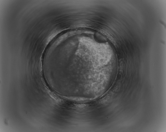 X0000092331031200710121529