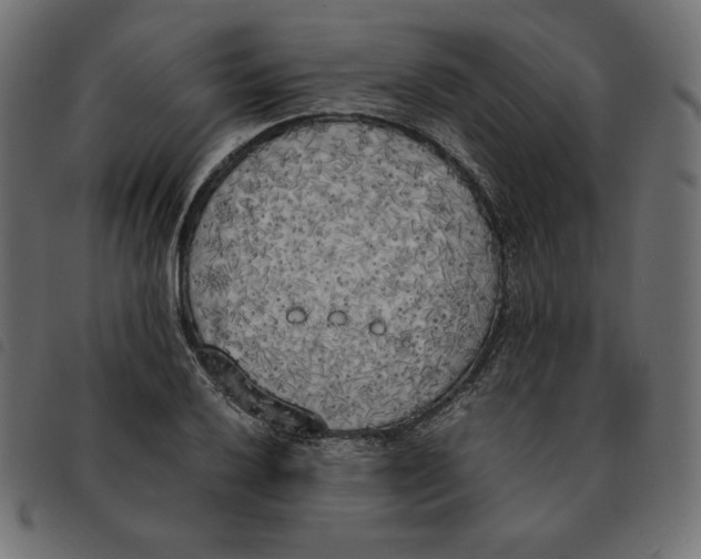 X0000092331032200710121529
