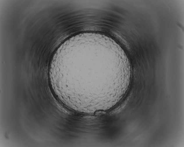 X0000092331033200710121529