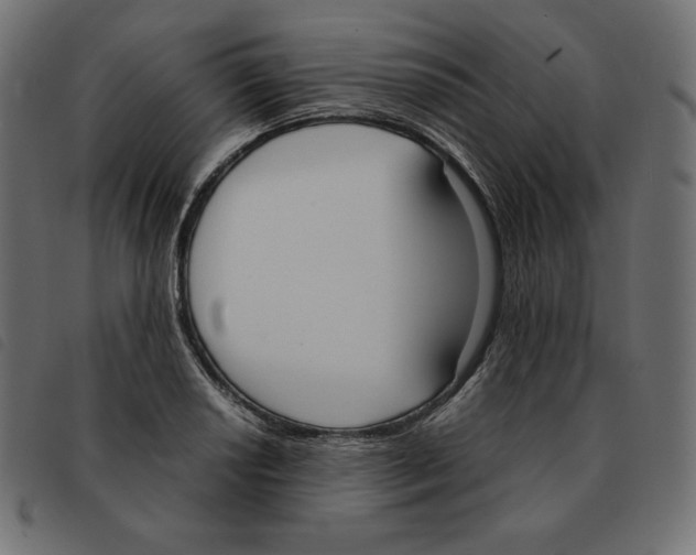 X0000092331034200710121529