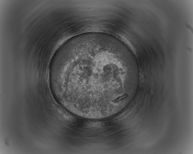 X0000092331035200710121529