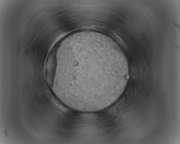 X0000092331036200710121529