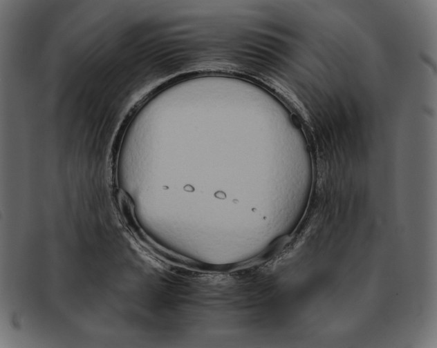 X0000092331037200710121529