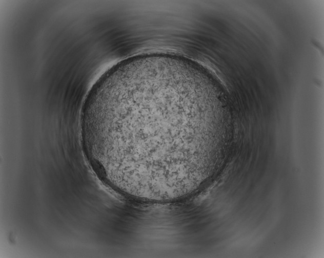 X0000092331038200710121529