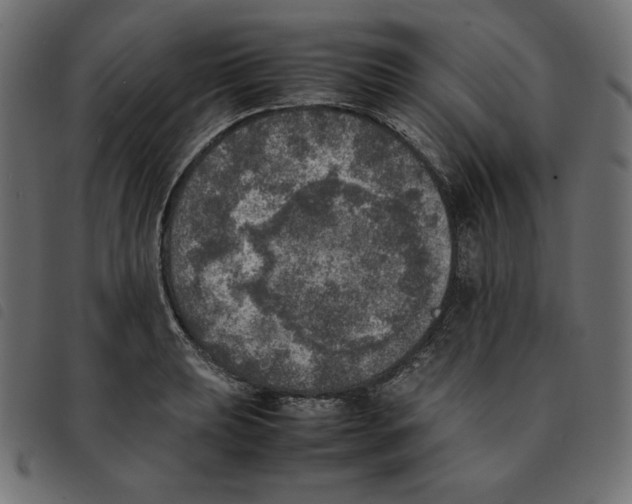 X0000092331039200710121529