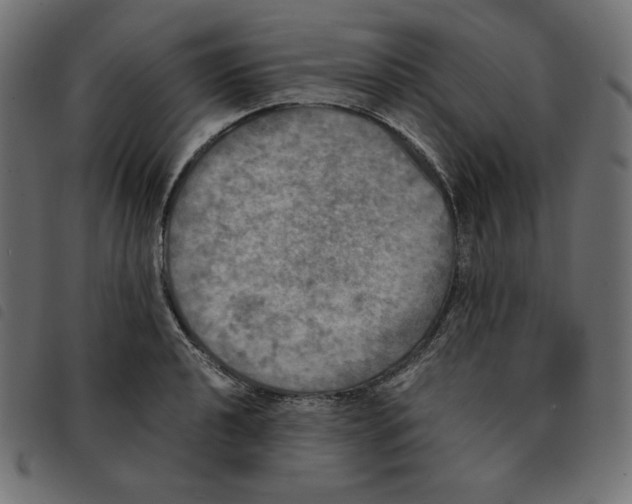 X0000092331040200710121530