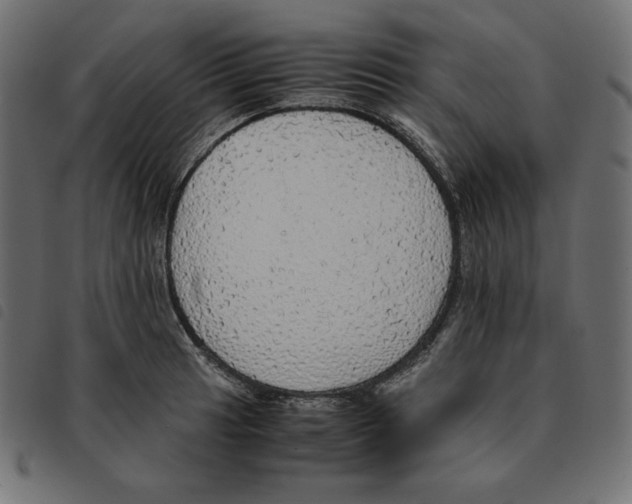 X0000092331041200710121530