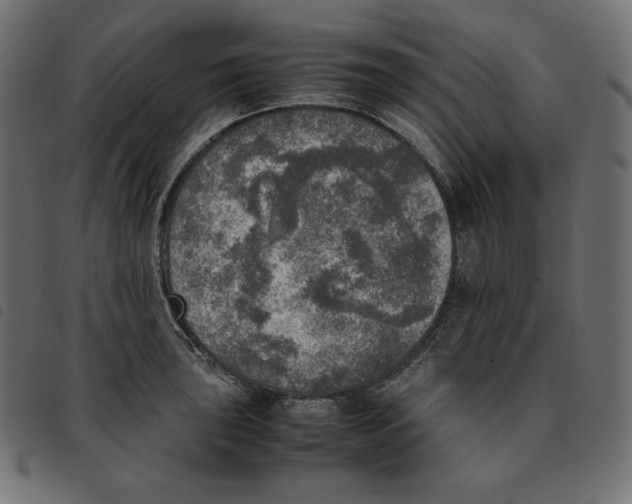 X0000092331043200710121530